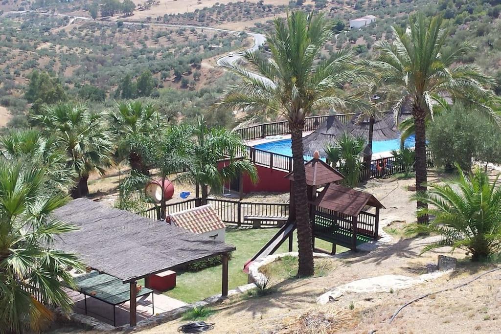 Tiny House 12M2 In Holiday Park With 55 M2 Pool トロクス エクステリア 写真